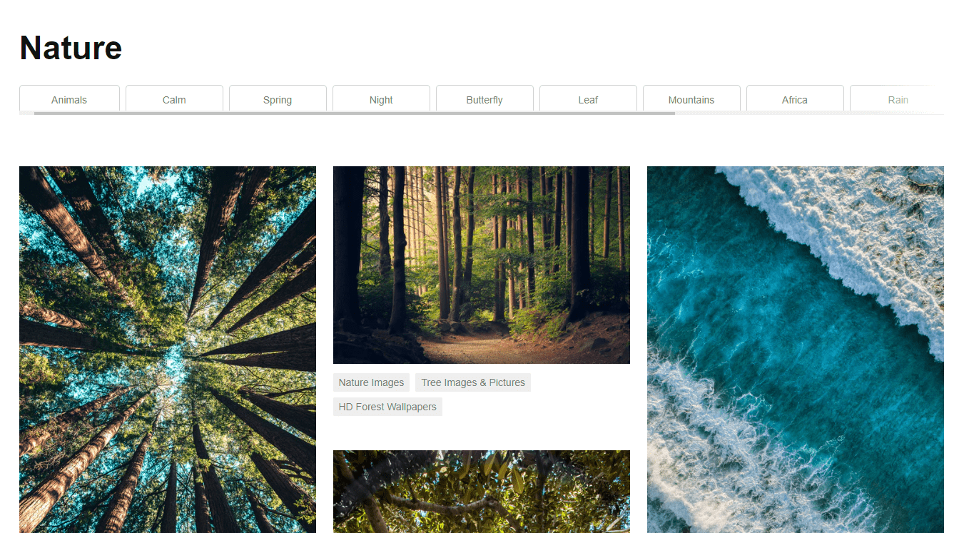 Gratisography Review - Shutterpoint